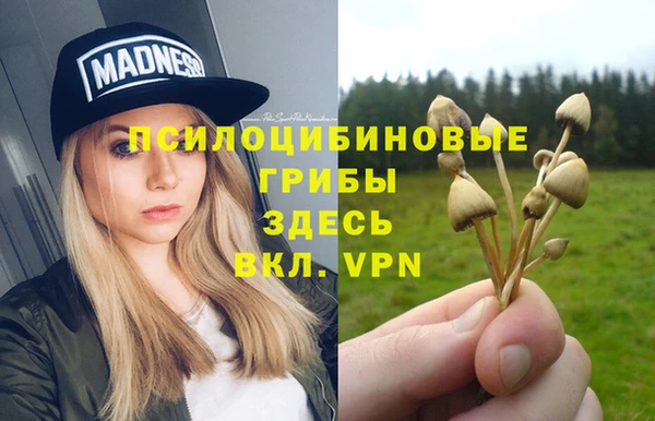 MESCALINE Алзамай