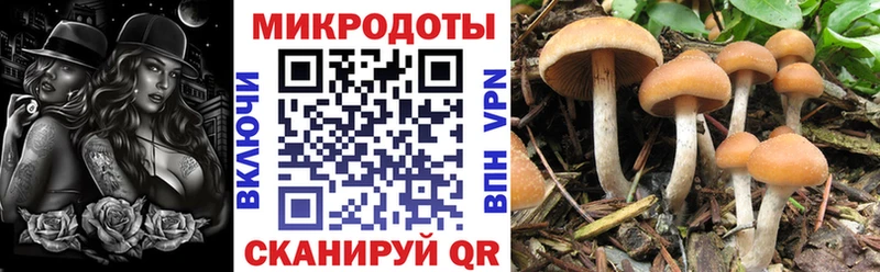 Галлюциногенные грибы мухоморы  Пикалёво 
